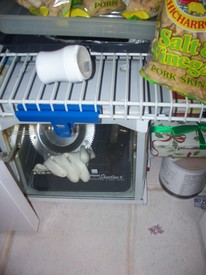 Sun 09 Jan 2011 09:00:07 AM

Gracie got into Andrew's chewing gum!