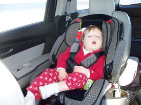 Wed 26 Jan 2011 02:01:29 PM

Big day ... tired Gracie.