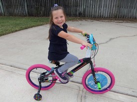 Sat 22 Nov 2014 04:36:33 PM

Gracie got a bicycle for Christmas, but early. She really loves it.